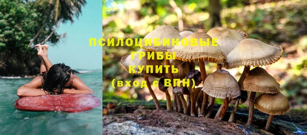 прущая мука Армянск