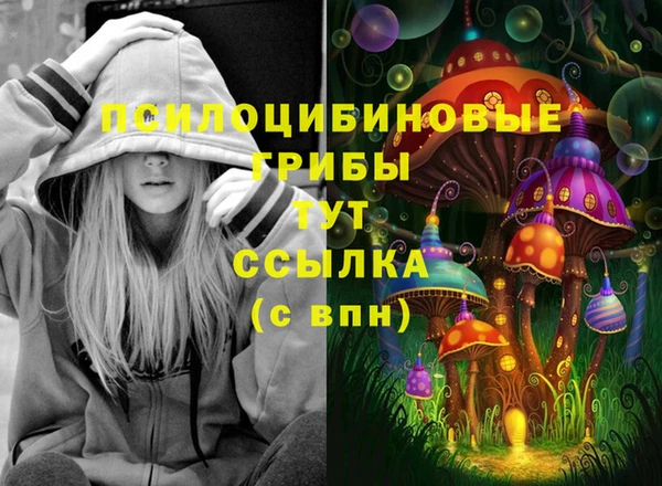 ECSTASY Арсеньев